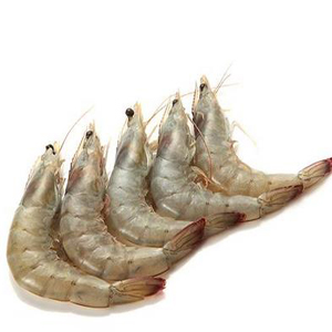 厄瓜多尔白虾1.45KG一盒